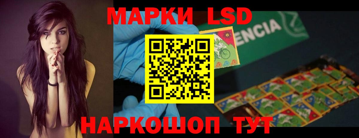 Галлюциногенные грибы Кропоткин