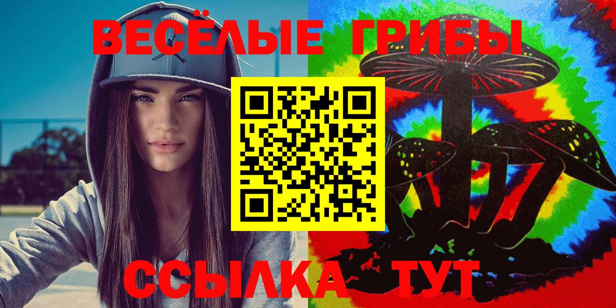 Псилоцибиновые грибы Psilocybe  Кропоткин 